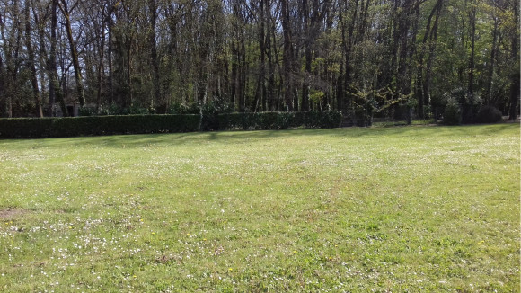 20180419_171634 (1) (1).jpg
