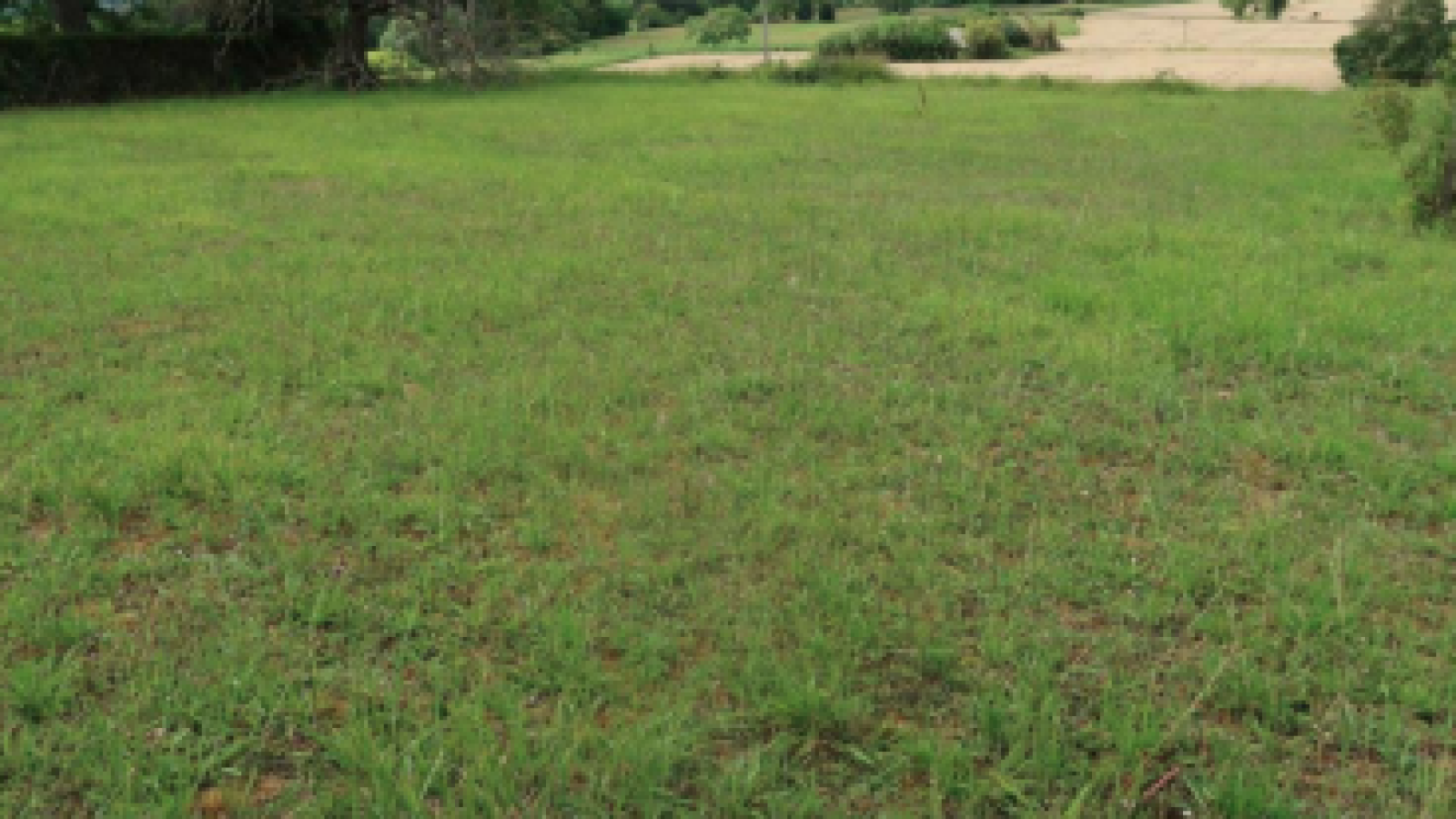 Terrain constructible de 950m2 à Châtellerault/ image 1