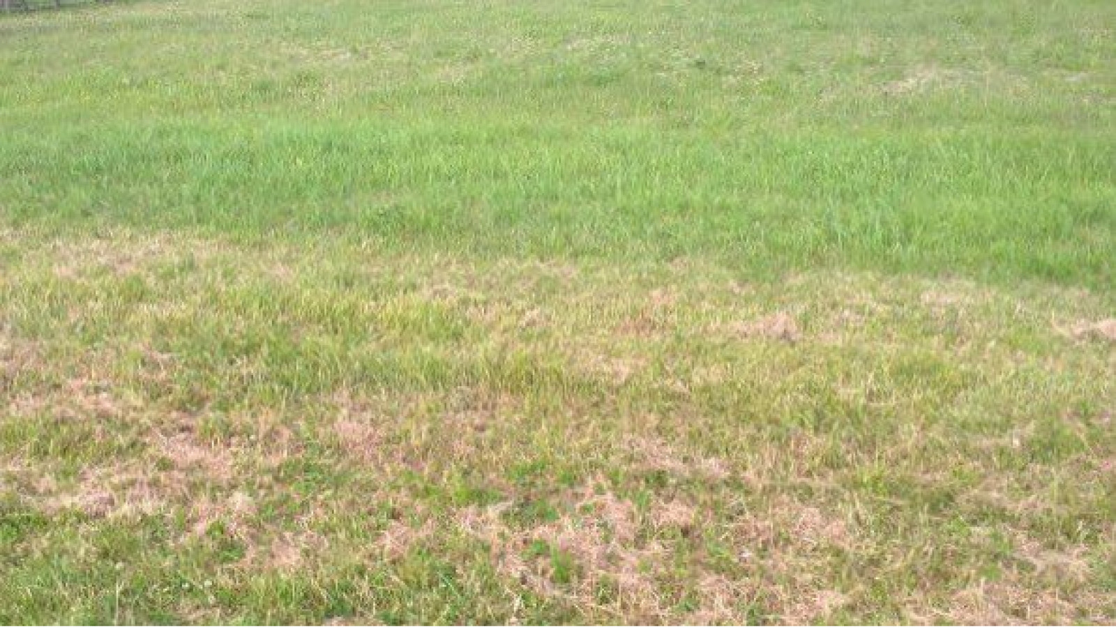 Terrain constructible de 1596m2 à Lémeré/ image 1