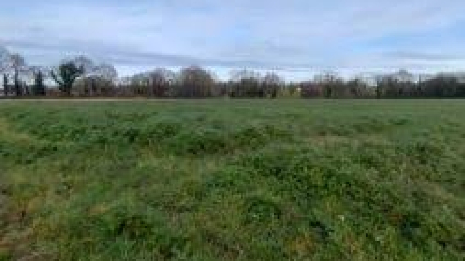 Terrain constructible de 574m2 à Sainte-Florence/ image 1
