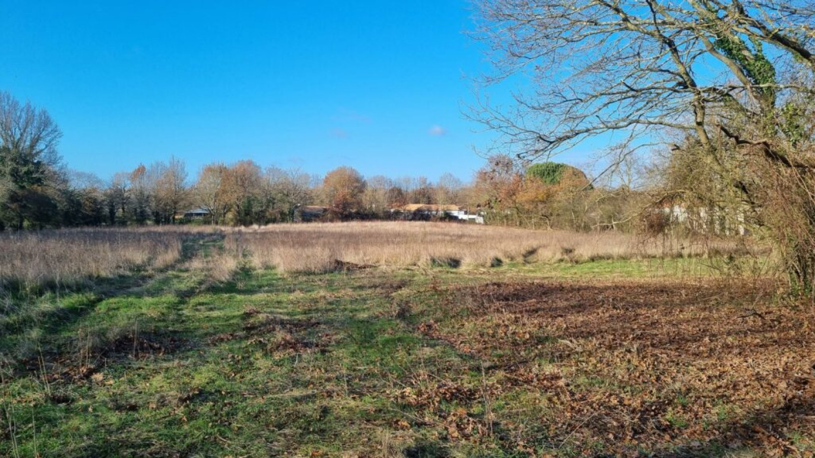 Terrain constructible de 315m2 à Chantonnay/ image 1