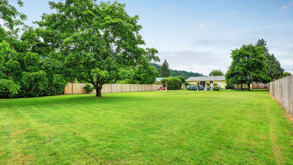 diffu.jpg