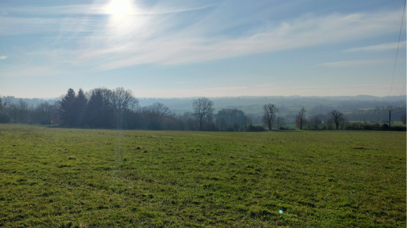 IMG20240111113302.jpg