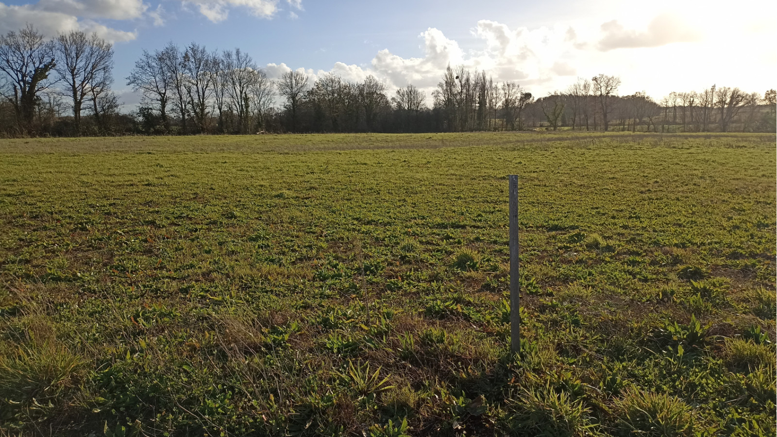 Terrain constructible de 364m2 à La Garnache/ image 1