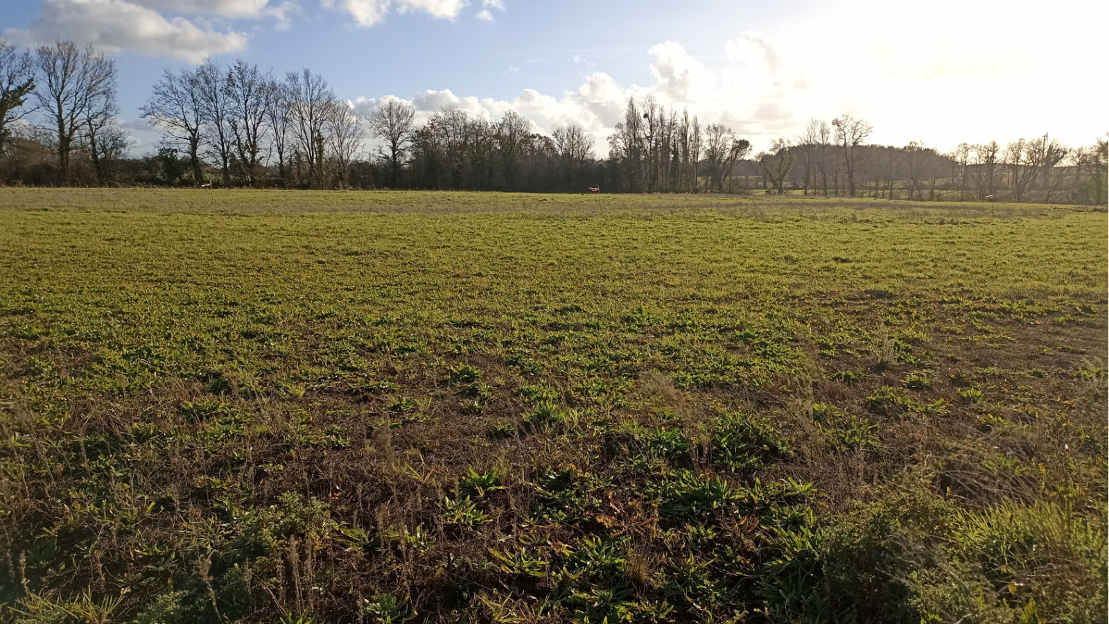 Terrain constructible de 539m2 à La Garnache/ image 1