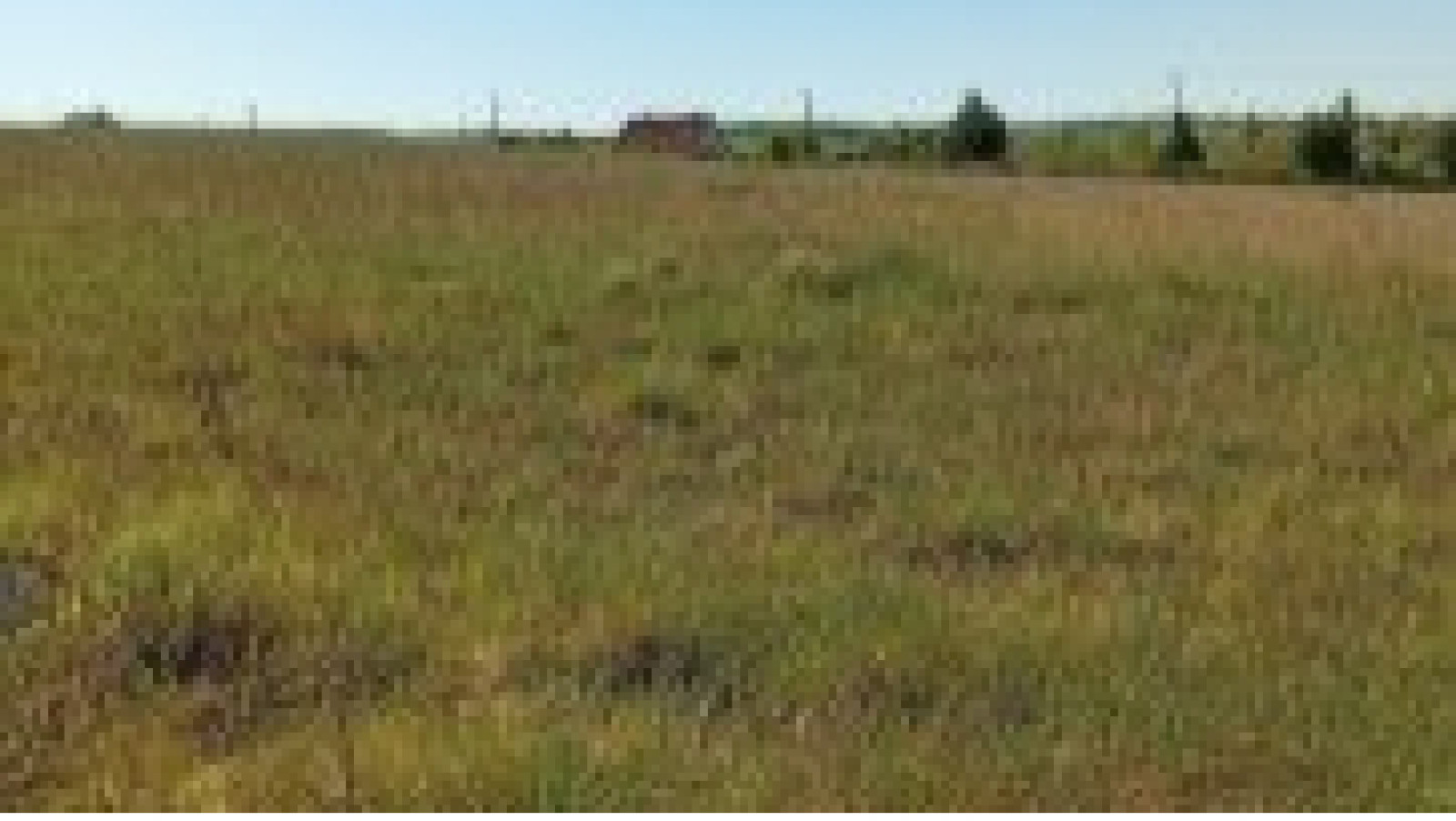 Terrain constructible de 609m2 à Chevannes/ image 1