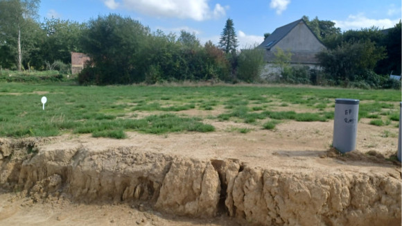 cardroc 2.jpg