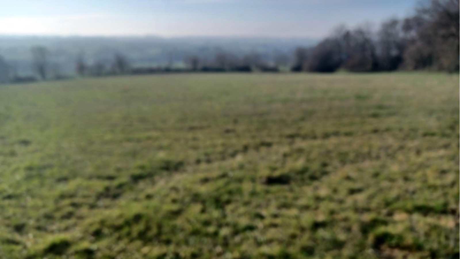 Terrain constructible de 344m2 à Livré-sur-Changeon/ image 1
