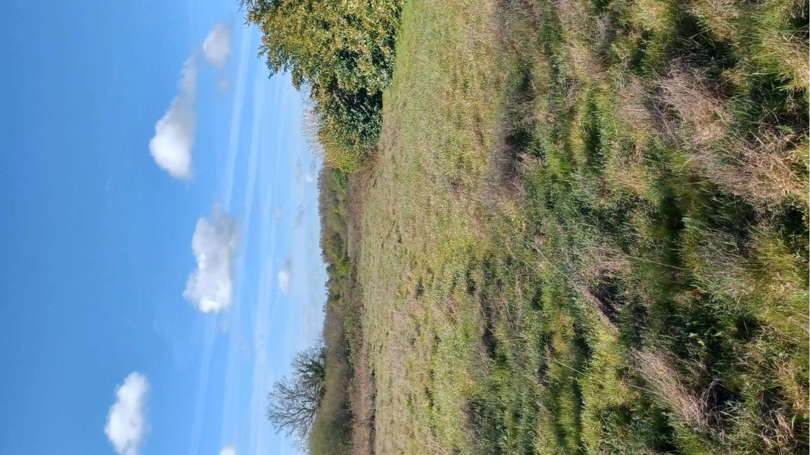 Terrain constructible de 504m2 à Le Pout/ image 1