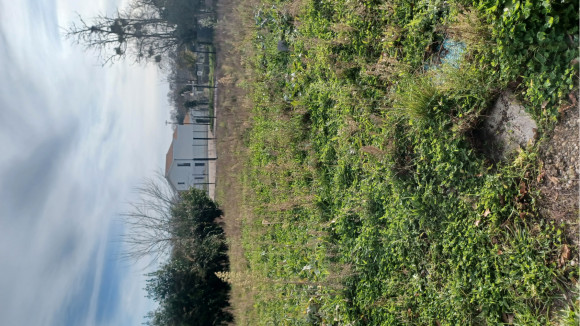 20241218_142111.jpg