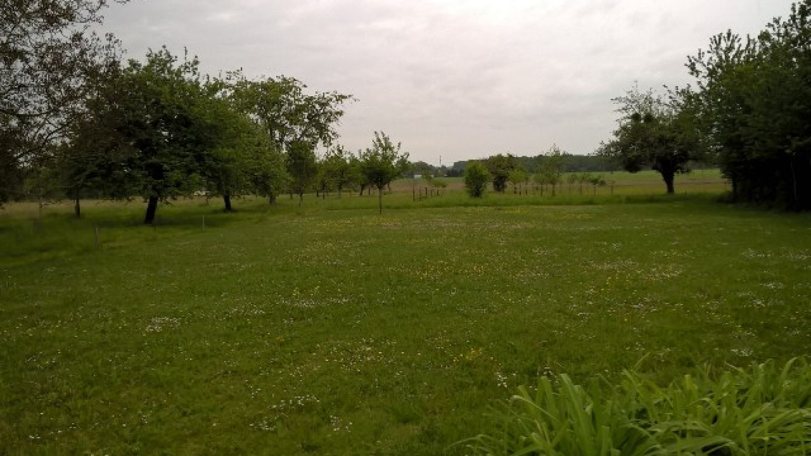 Terrain constructible de 1151m2 à La Chapelle-Saint-Sépulcre/ image 1