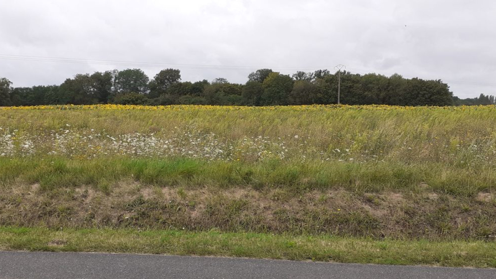 Terrain constructible de 1104m2 à Nogent-sur-Vernisson/ image 1