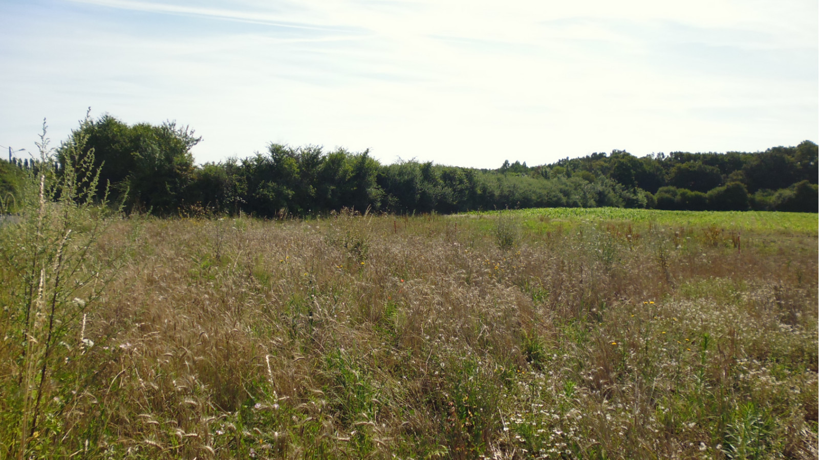 Terrain constructible de 1582m2 à Saint-Hilaire-sur-Puiseaux/ image 1