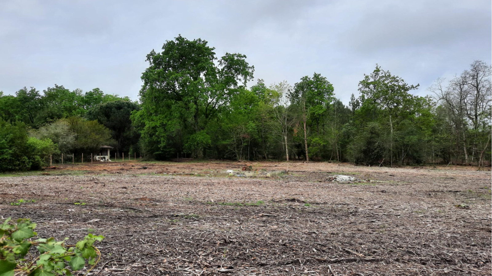 Terrain constructible de 550m2 à Tauriac/ image 1