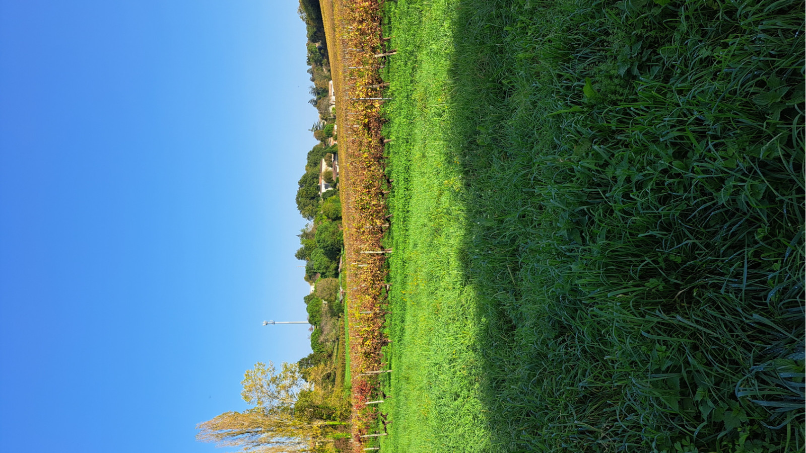 Terrain constructible de 435m2 à Tresses/ image 1