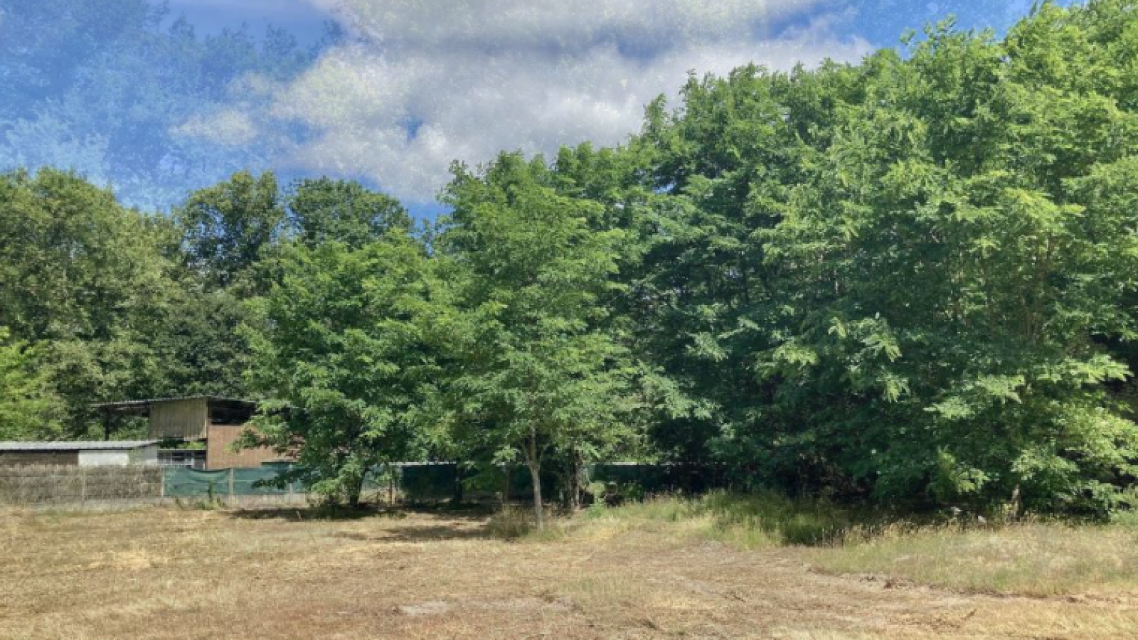 Terrain constructible de 1030m2 à Pessac/ image 1