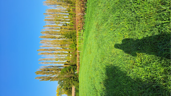 20241029_153107.jpg