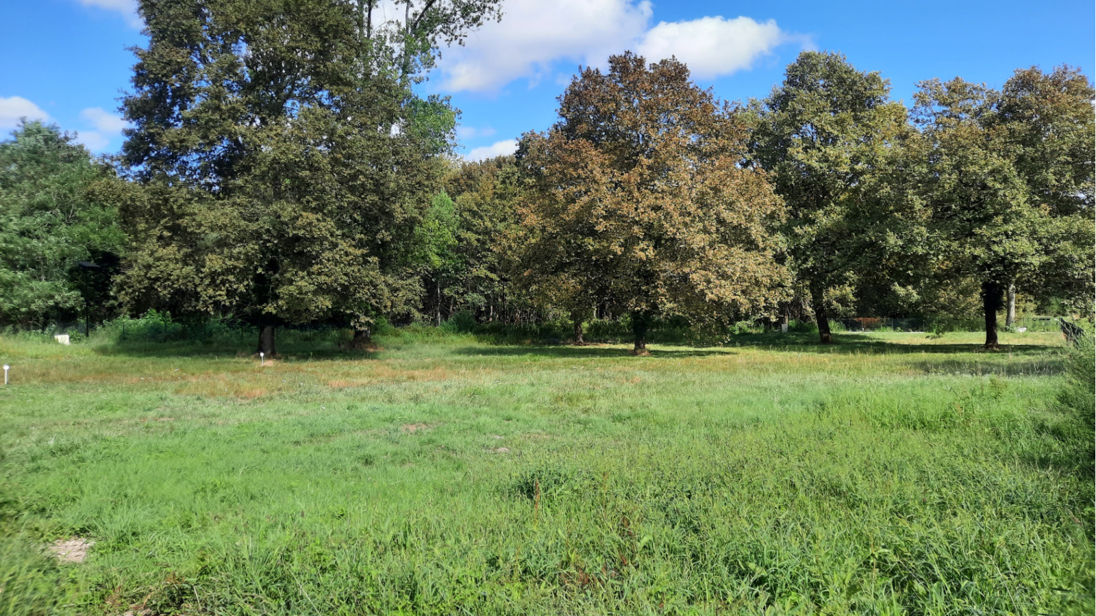 Terrain constructible de 487m2 à Margaux-Cantenac/ image 1