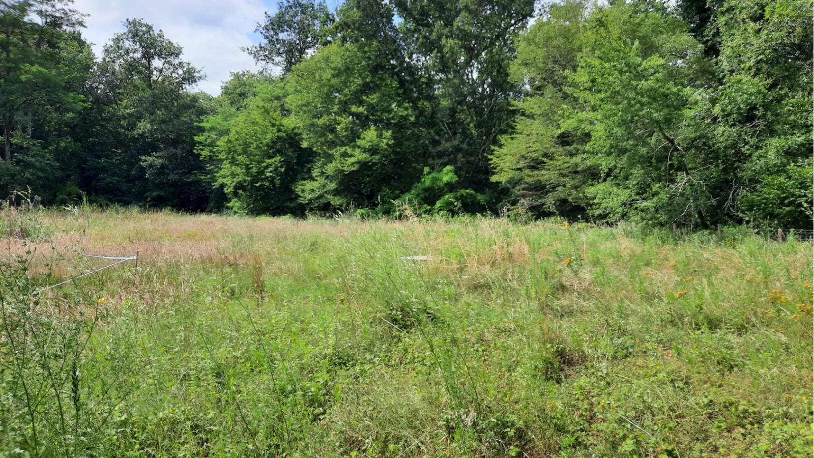 Terrain constructible de 800m2 à Bonnetan/ image 1