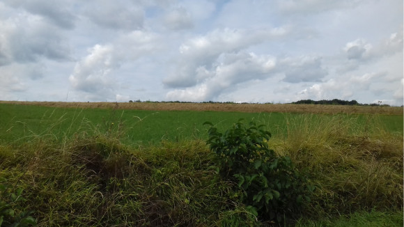 20180830_150527.jpg