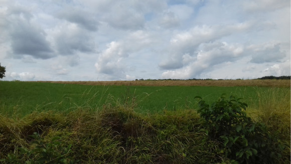20180830_150517.jpg