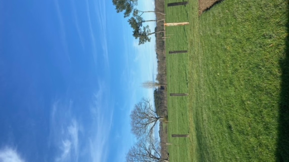 image6(3).jpeg