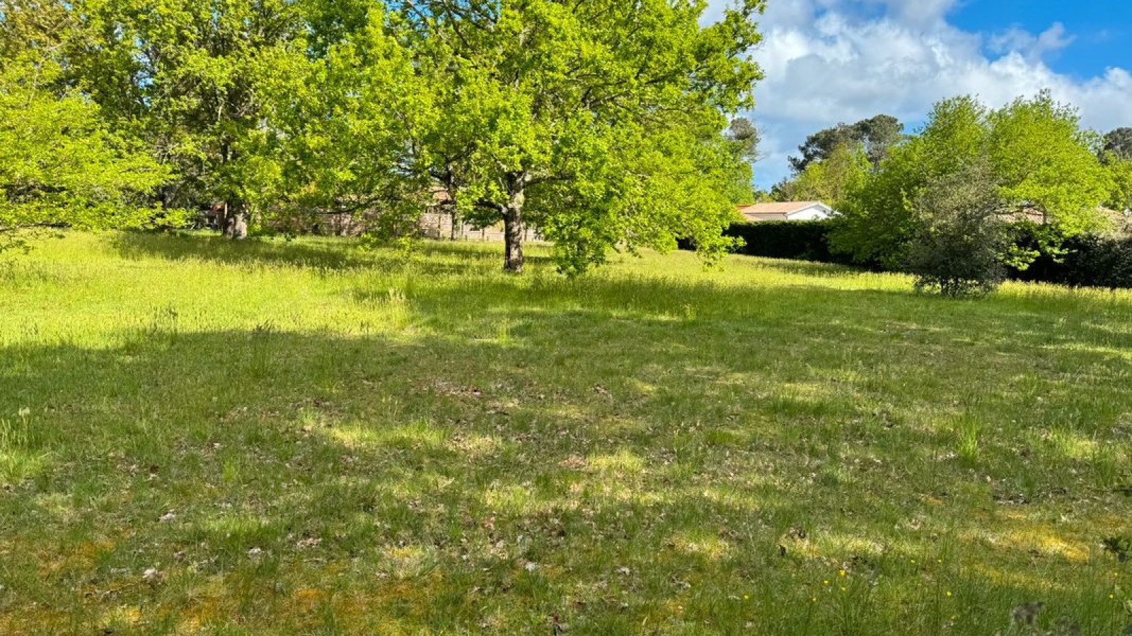 Terrain constructible de 3800m2 à Porchères/ image 1