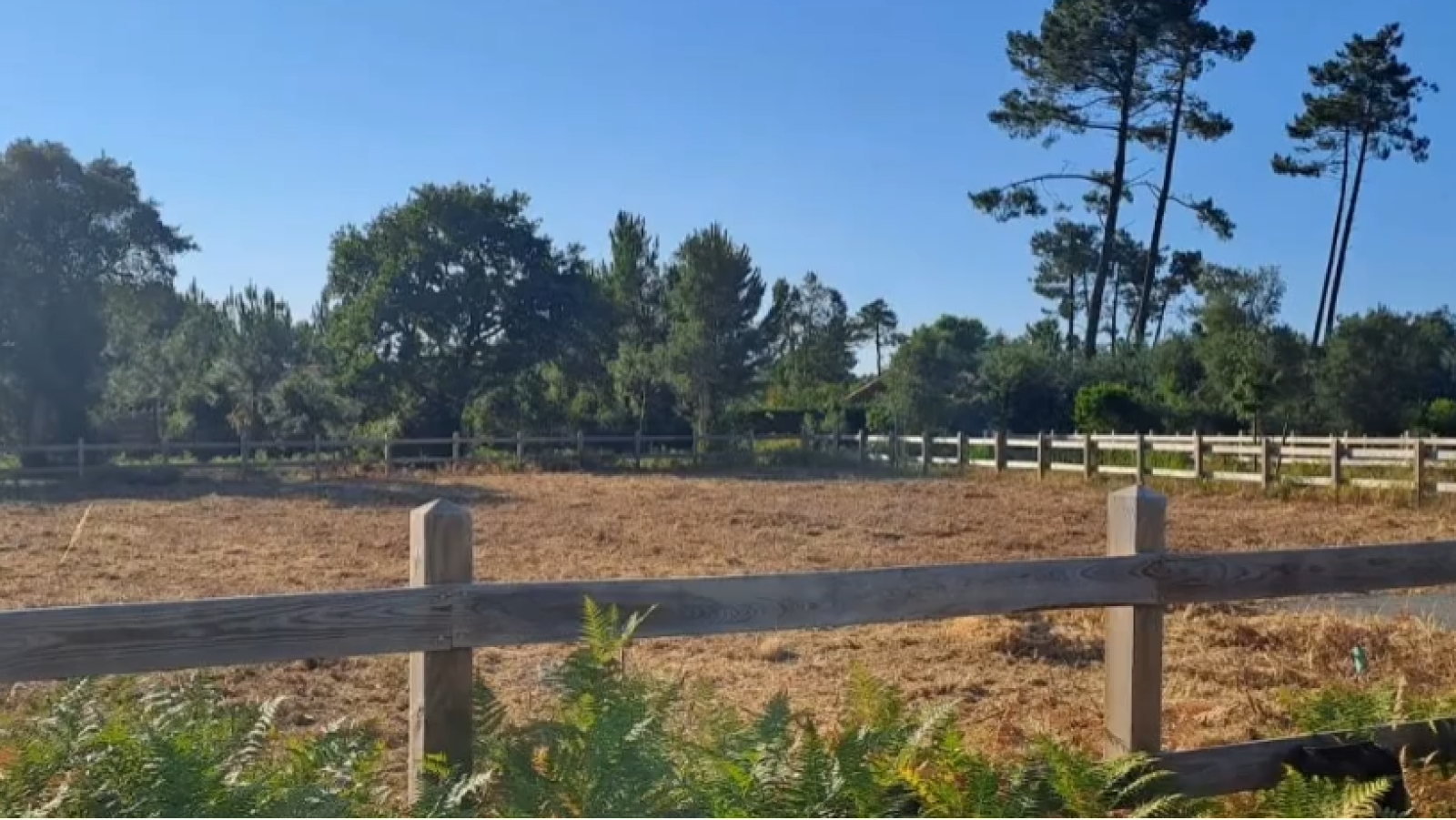 Terrain constructible de 1088m2 à Moliets-et-Maa/ image 1