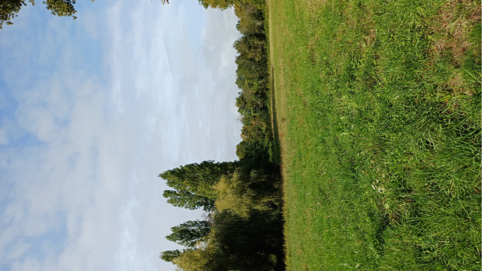Terrain constructible de 400m2 à Joué-sur-Erdre/ image 1