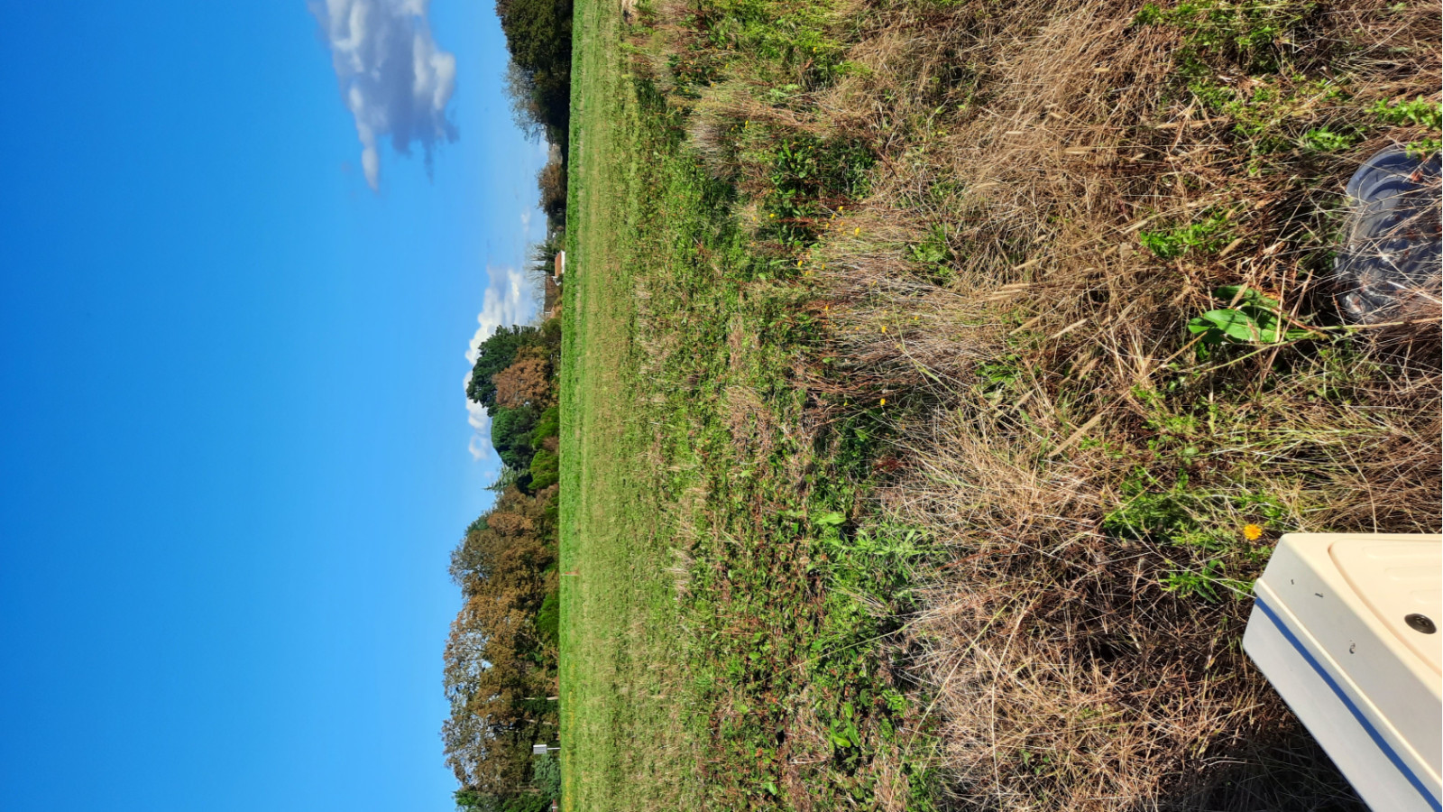 Terrain constructible de 715m2 à Saugnac-et-Cambran/ image 1