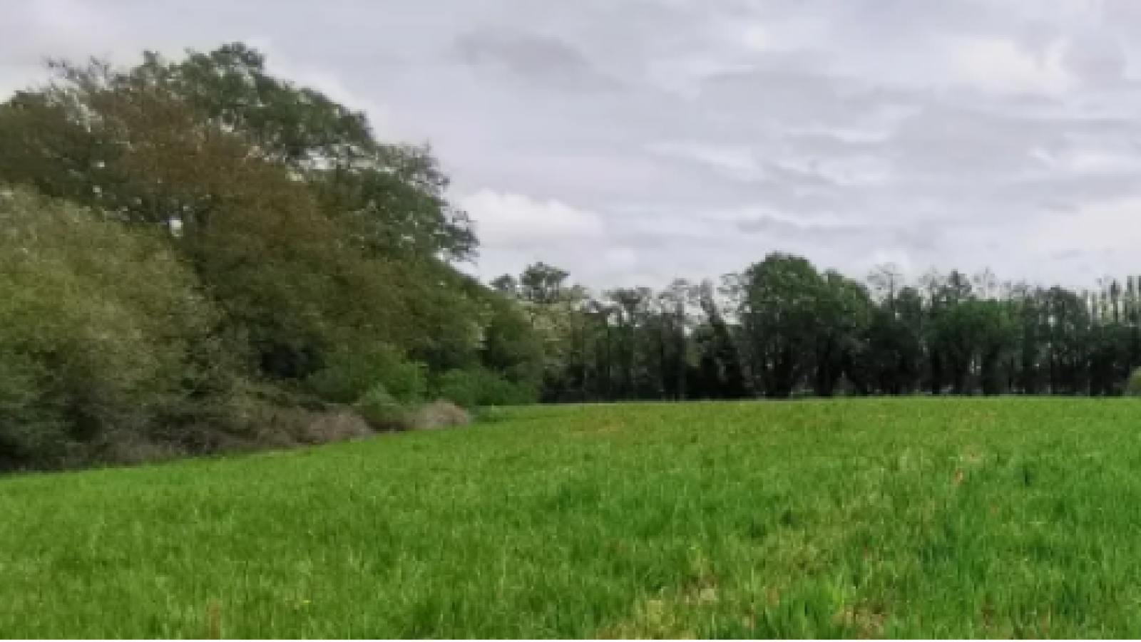 Terrain constructible de 611m2 à Hinx/ image 1