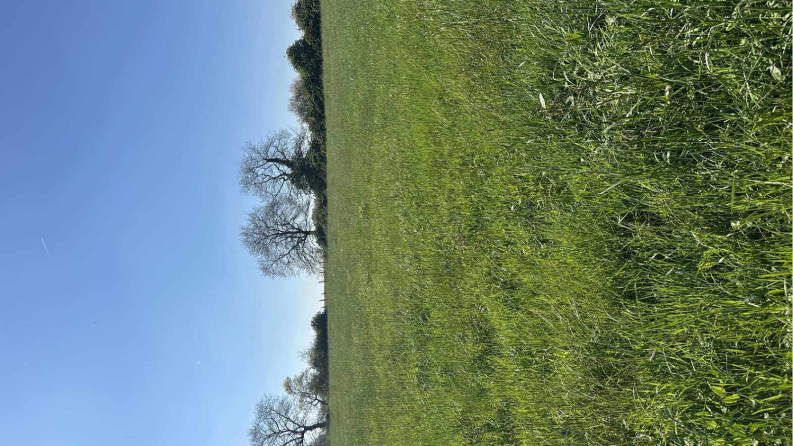 Terrain constructible de 479m2 à Chemillé-en-Anjou/ image 1
