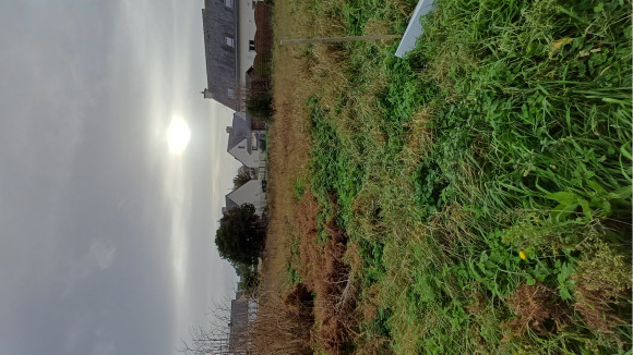 20251206_153127.jpg