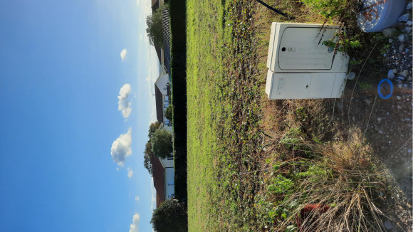 20231117_154236.jpg