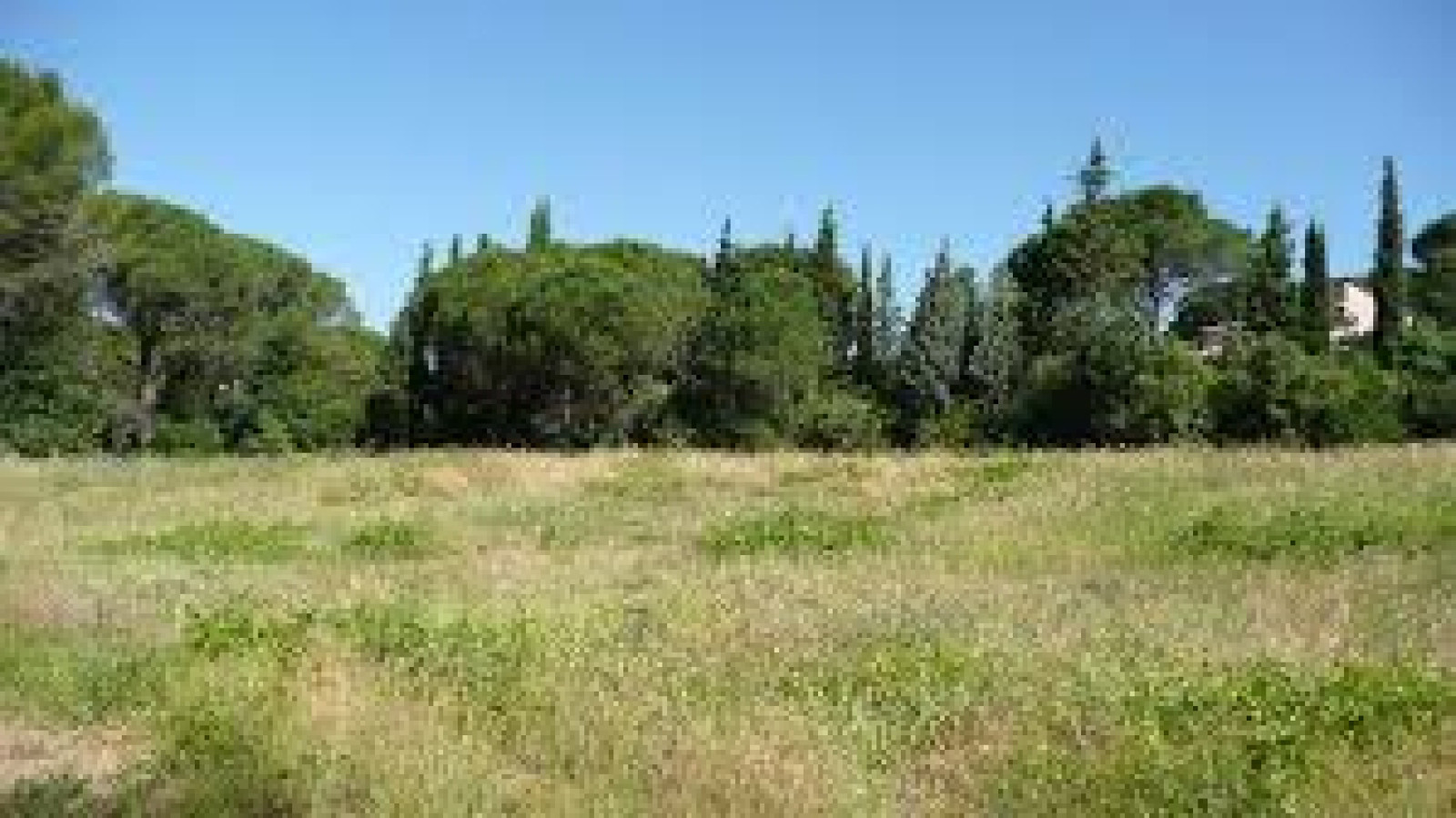 Terrain constructible de 394m2 à Druye/ image 1