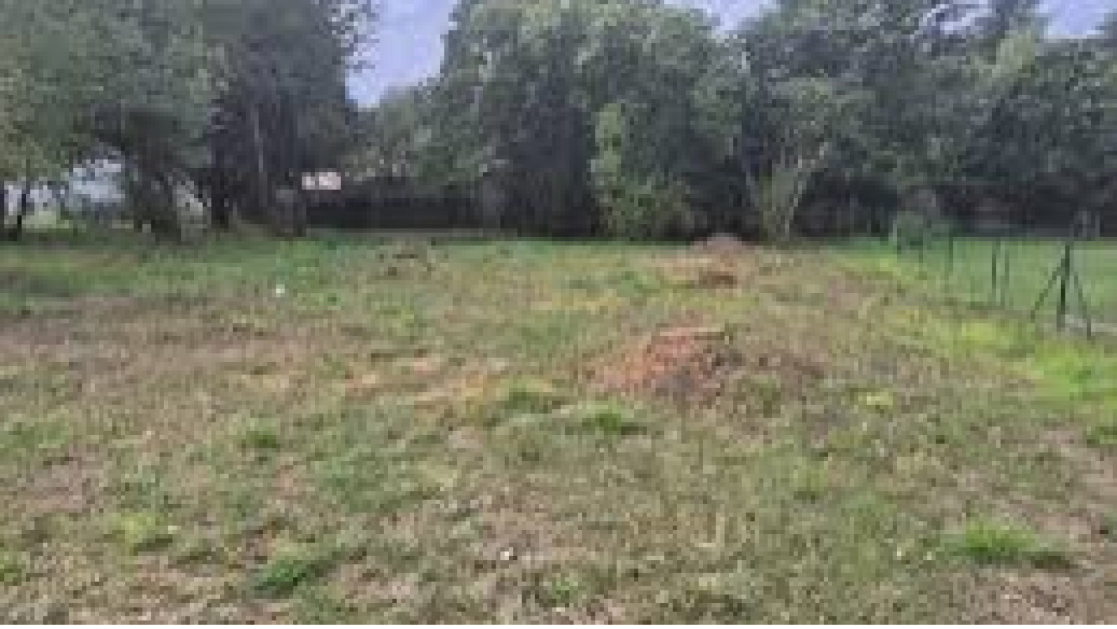 Terrain constructible de 900m2 à Saint-Cyr-sur-Loire/ image 1