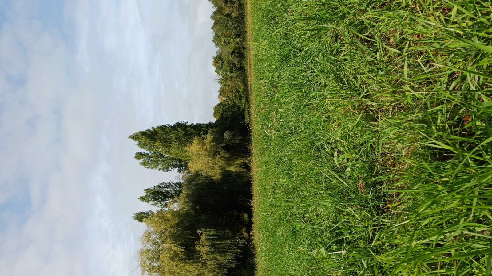 Terrain constructible de 427m2 à Joué-sur-Erdre/ image 1