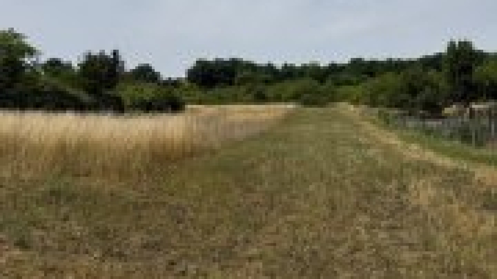 Terrain constructible de 902m2 à Lindry/ image 1
