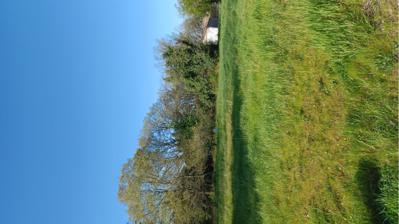 20250405_104146.jpg