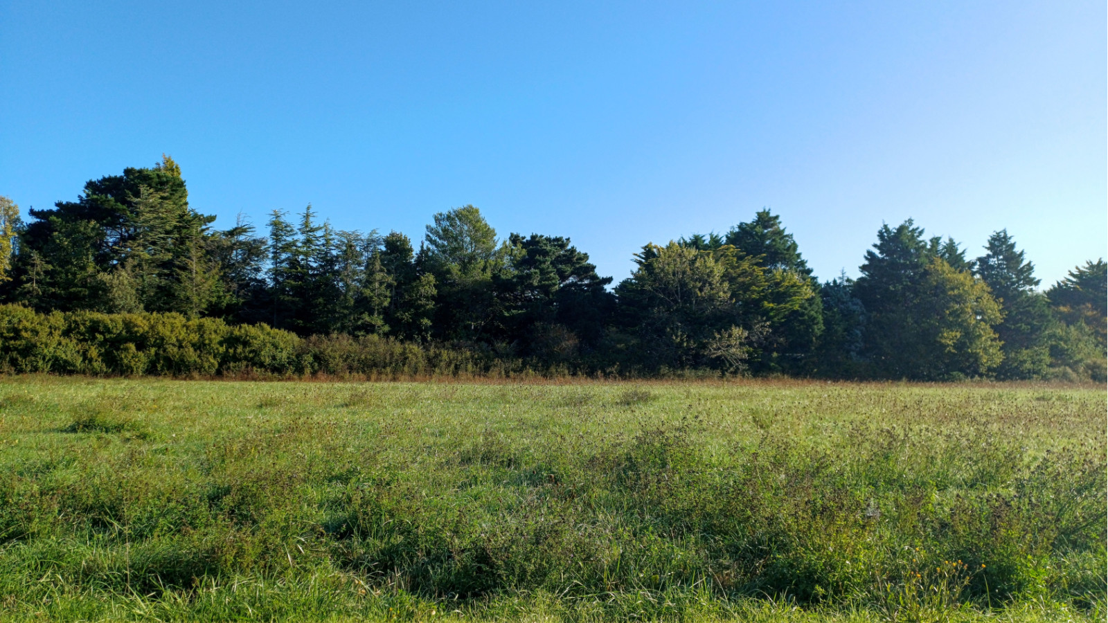 Terrain constructible de 643m2 à Bretignolles-sur-Mer/ image 1