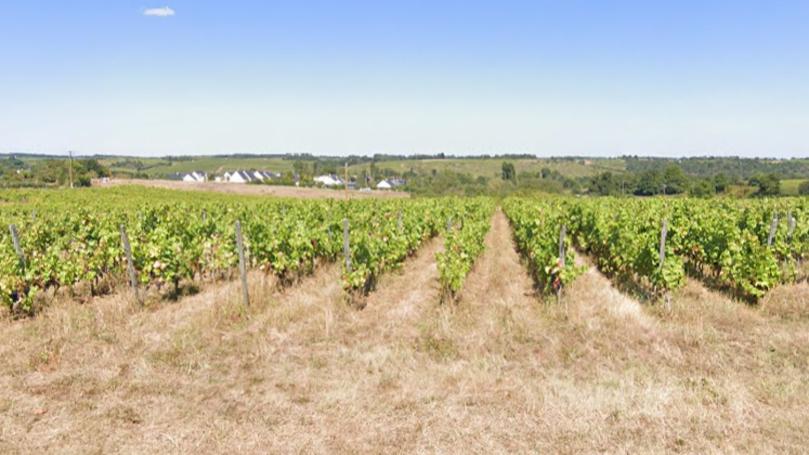 Terrain constructible de 475m2 à Bellevigne-en-Layon/ image 1