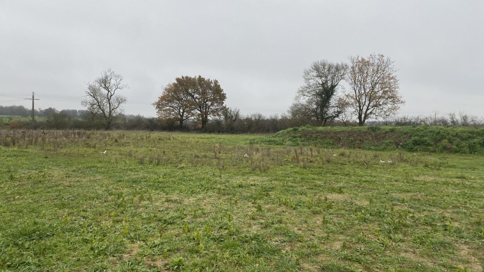 Terrain constructible de 550m2 à Champtocé-sur-Loire/ image 1