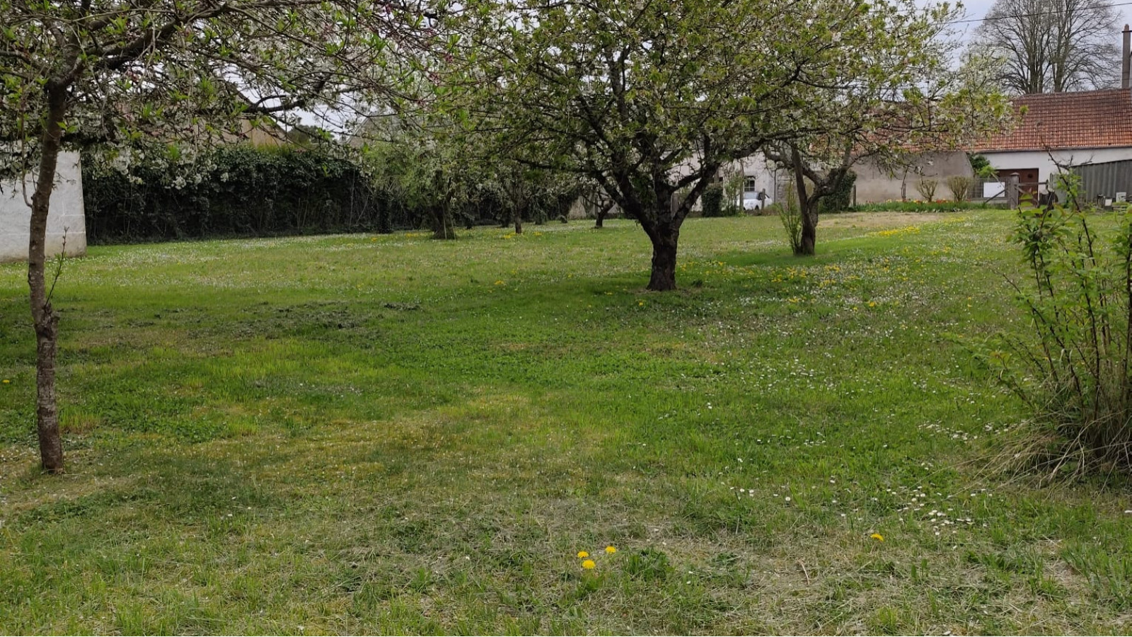 Terrain constructible de 900m2 à Saint-Claude-de-Diray/ image 1
