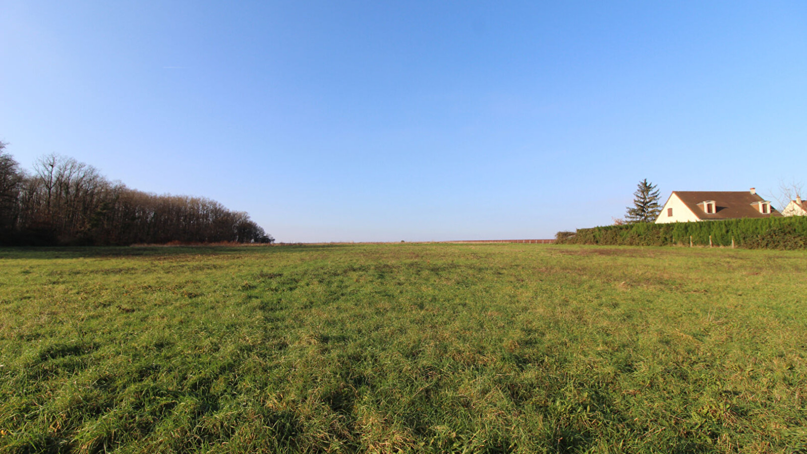 Terrain constructible de 1500m2 à Suèvres/ image 1