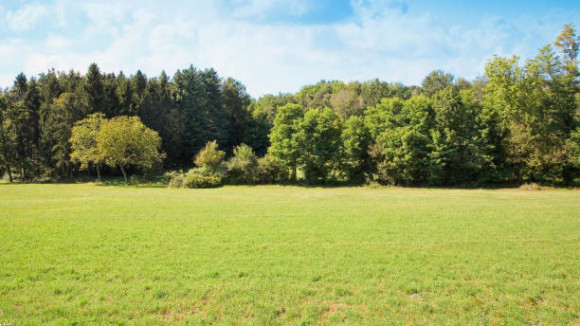 istockphoto-1484178659-612x612.jpg