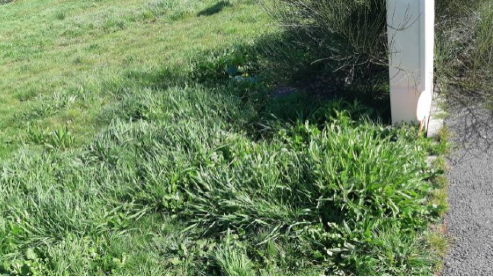 Terrain constructible de 435m2 à Saint-Malo/ image 1