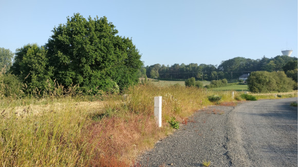 IMG20230607080907.jpg