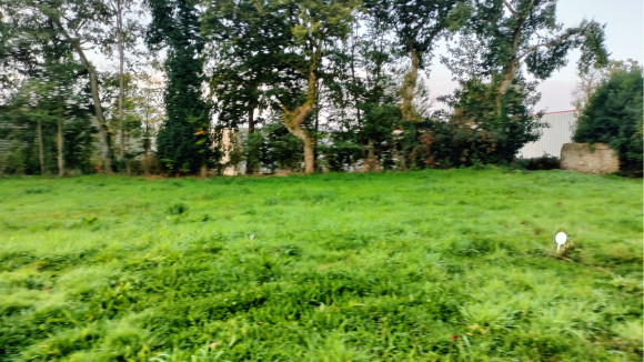 IMG20241016084530.jpg