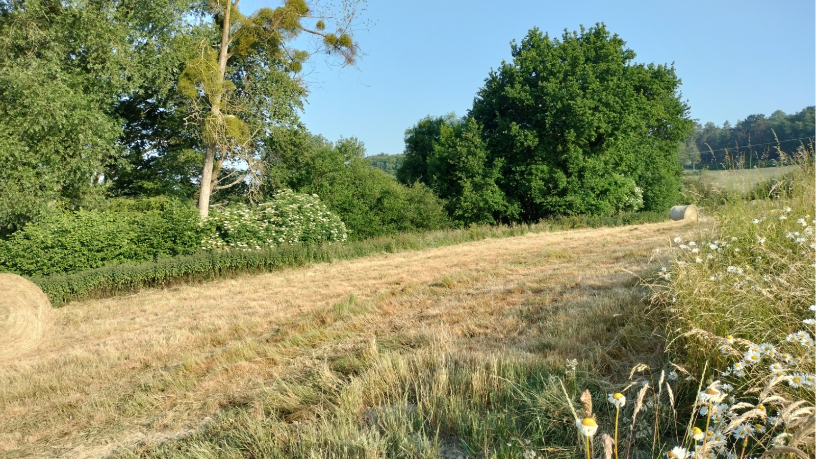 Terrain constructible de 350m2 à Chanteloup/ image 1