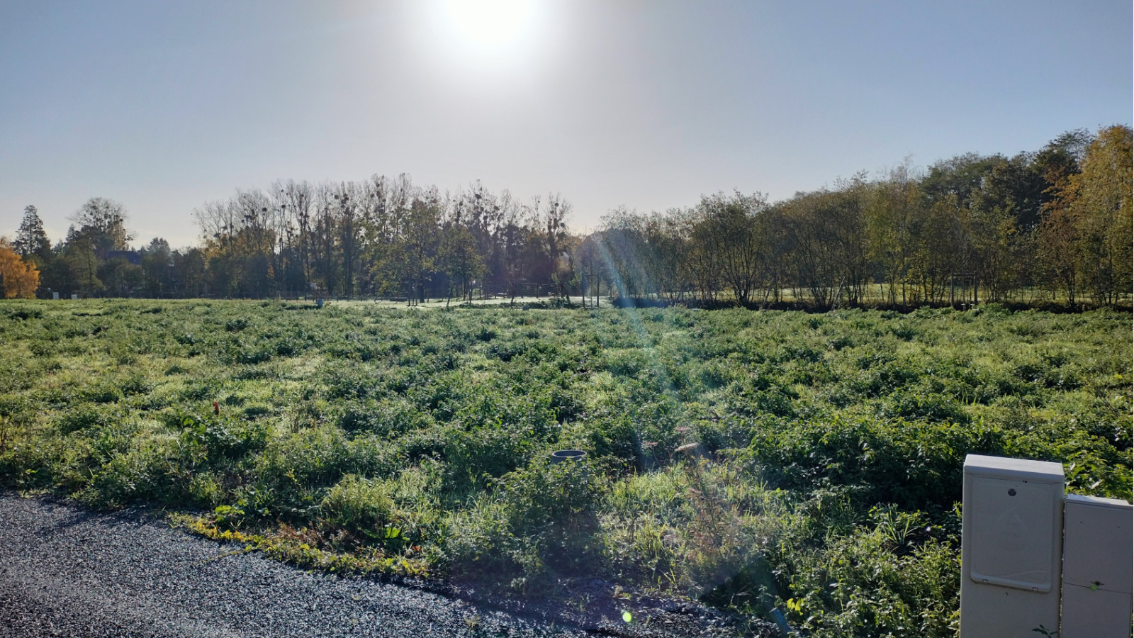 Terrain constructible de 343m2 à Essé/ image 1